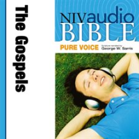 Pure_Voice_Audio_Bible_-_New_International_Version__NIV__The_Gospels